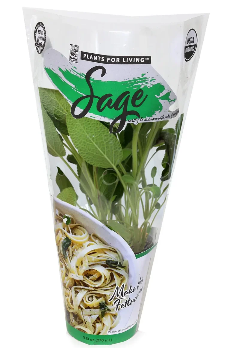 Sage plant in package grown by Rocket Farms on a white background.