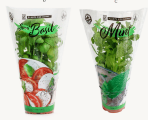Basil, Mint Herbs