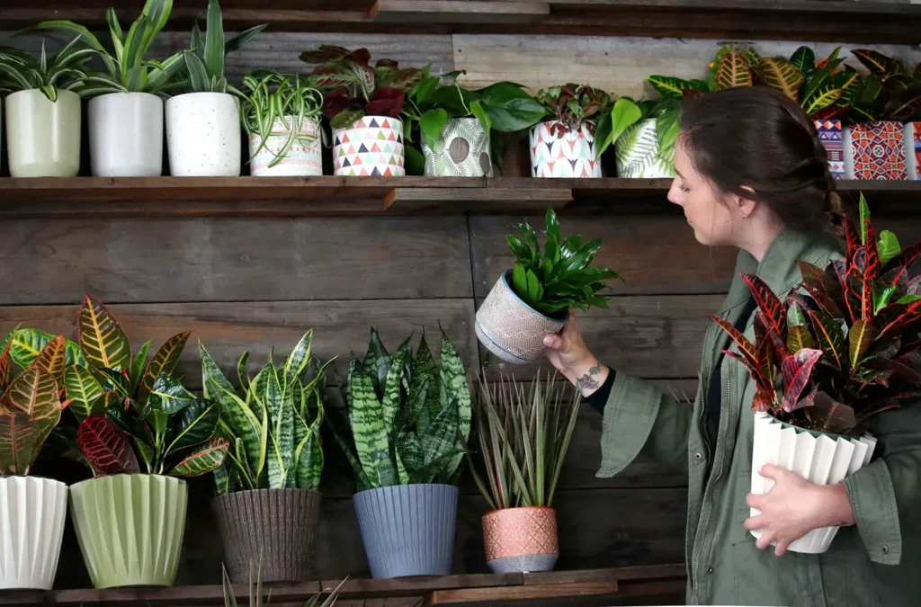 Young woman shopping for plants.